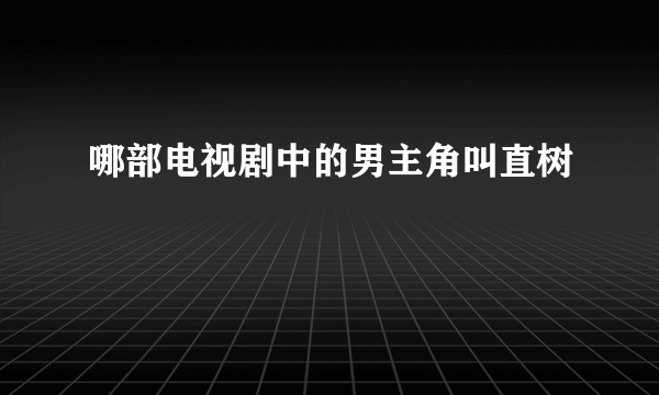 哪部电视剧中的男主角叫直树