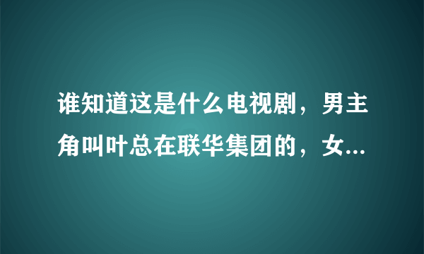 谁知道这是什么电视剧，男主角叫叶总在联华集团的，女主角叫安琪？