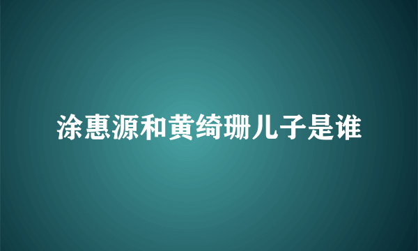 涂惠源和黄绮珊儿子是谁