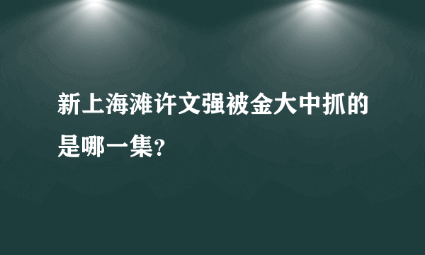 新上海滩许文强被金大中抓的是哪一集？