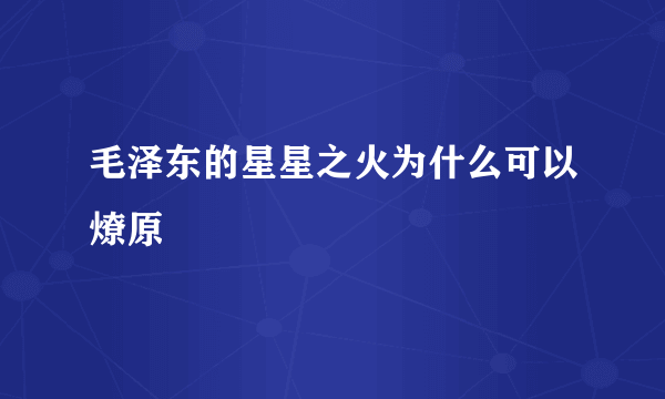 毛泽东的星星之火为什么可以燎原