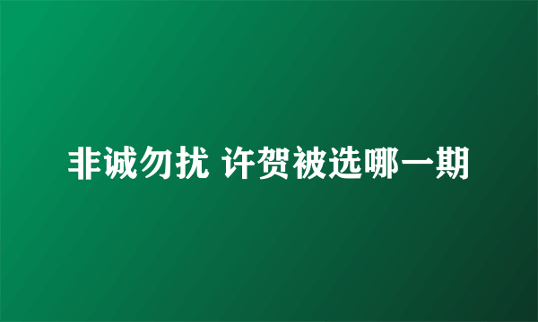 非诚勿扰 许贺被选哪一期