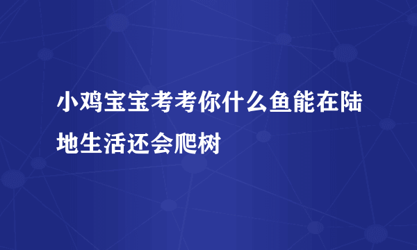 小鸡宝宝考考你什么鱼能在陆地生活还会爬树