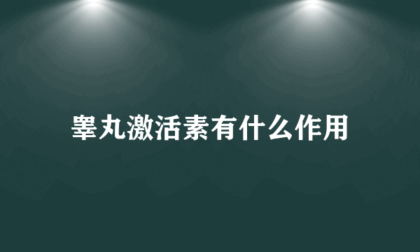 睾丸激活素有什么作用