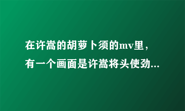 在许嵩的胡萝卜须的mv里，有一个画面是许嵩将头使劲埋在土里。爱嵩嵩的嵩鼠们。这是什么意思哦？