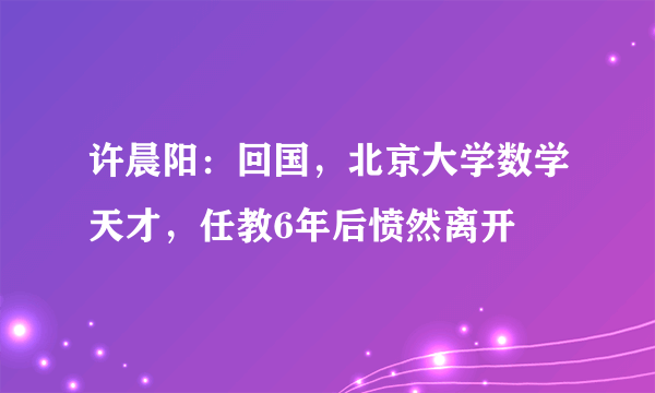 许晨阳：回国，北京大学数学天才，任教6年后愤然离开