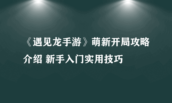 《遇见龙手游》萌新开局攻略介绍 新手入门实用技巧