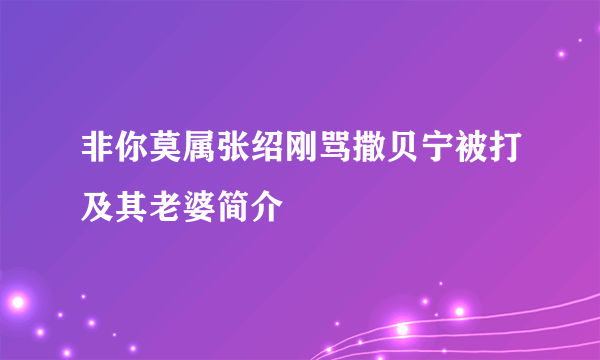 非你莫属张绍刚骂撒贝宁被打及其老婆简介