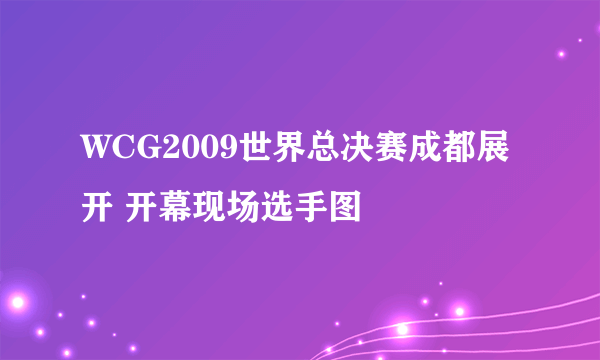 WCG2009世界总决赛成都展开 开幕现场选手图