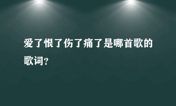 爱了恨了伤了痛了是哪首歌的歌词？