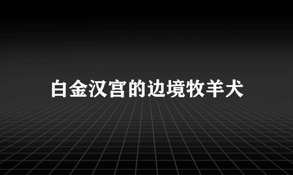 白金汉宫的边境牧羊犬