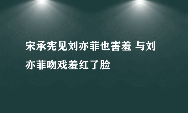 宋承宪见刘亦菲也害羞 与刘亦菲吻戏羞红了脸