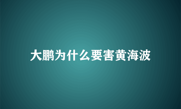 大鹏为什么要害黄海波