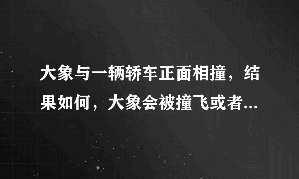 大象与一辆轿车正面相撞，结果如何，大象会被撞飞或者撞是吗？汽车会有多大的伤害？