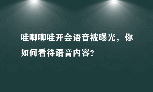 哇唧唧哇开会语音被曝光，你如何看待语音内容？