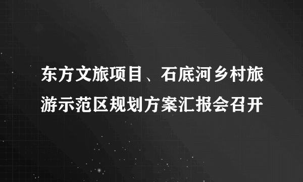 东方文旅项目、石底河乡村旅游示范区规划方案汇报会召开