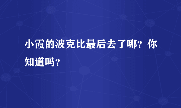 小霞的波克比最后去了哪？你知道吗？