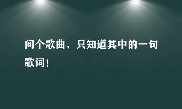 问个歌曲，只知道其中的一句歌词！