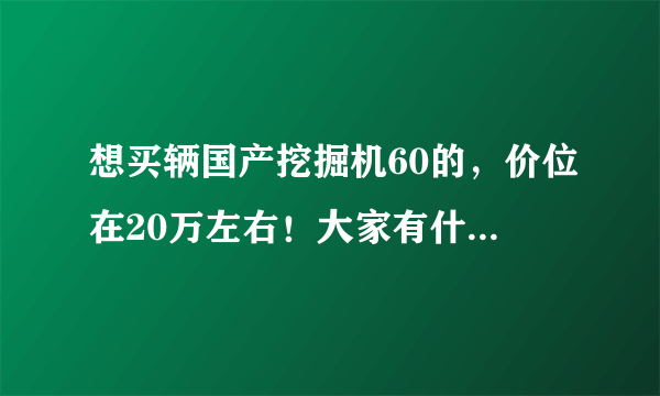 想买辆国产挖掘机60的，价位在20万左右！大家有什么建议！