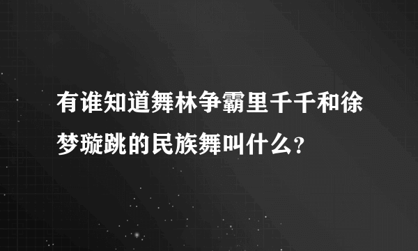 有谁知道舞林争霸里千千和徐梦璇跳的民族舞叫什么？