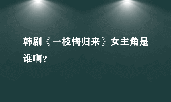 韩剧《一枝梅归来》女主角是谁啊？