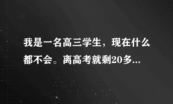 我是一名高三学生，现在什么都不会。离高考就剩20多天了，我已经万念俱灰了。我该怎么办啊？请求帮助。