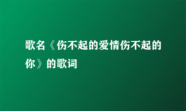 歌名《伤不起的爱情伤不起的你》的歌词