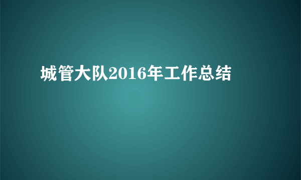 城管大队2016年工作总结