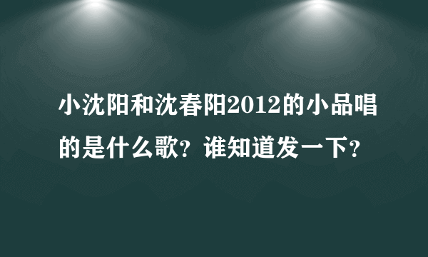 小沈阳和沈春阳2012的小品唱的是什么歌？谁知道发一下？