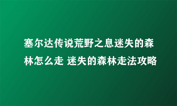 塞尔达传说荒野之息迷失的森林怎么走 迷失的森林走法攻略