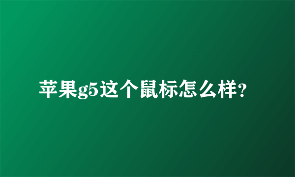 苹果g5这个鼠标怎么样？