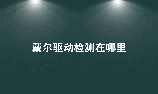 戴尔驱动检测在哪里