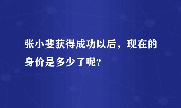 张小斐获得成功以后，现在的身价是多少了呢？