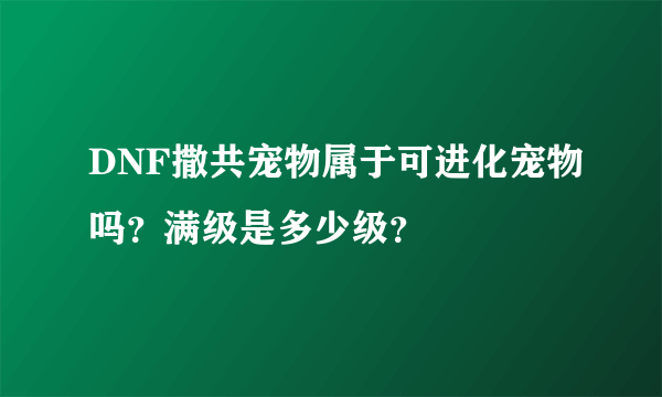 DNF撒共宠物属于可进化宠物吗？满级是多少级？