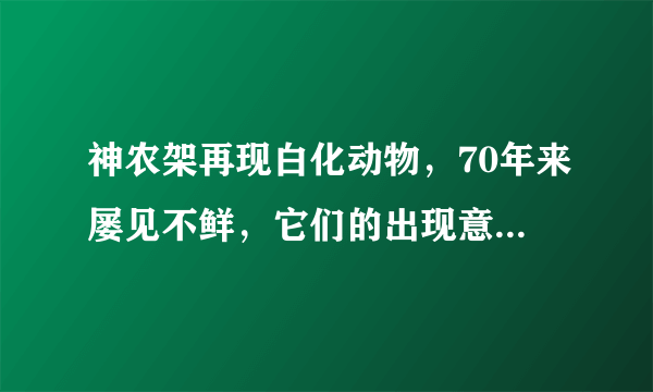 神农架再现白化动物，70年来屡见不鲜，它们的出现意味着什么？