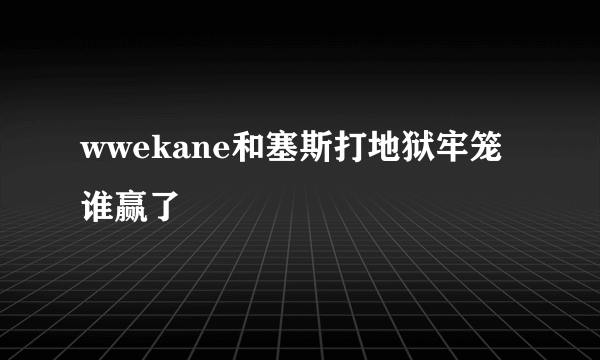 wwekane和塞斯打地狱牢笼谁赢了