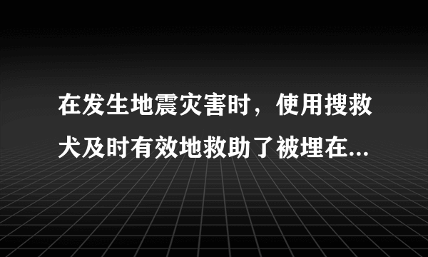 在发生地震灾害时，使用搜救犬及时有效地救助了被埋在废墟下的幸存者。当搜救犬发现废墟下有人时，会重嗅、扒地、摇尾巴，然后连声吠叫，这种行为属于（　　）A. 学习行为B. 先天性行为C. 捕食行为D. 防御行为