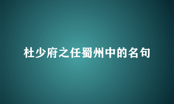 杜少府之任蜀州中的名句