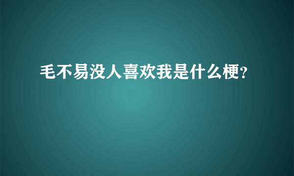 毛不易没人喜欢我是什么梗？