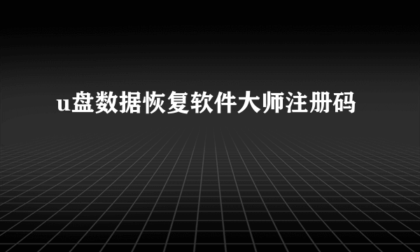 u盘数据恢复软件大师注册码