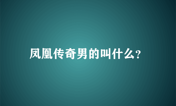 凤凰传奇男的叫什么？