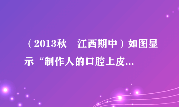 （2013秋•江西期中）如图显示“制作人的口腔上皮细胞临时装片”的两个操作步骤，据图回答问题．（1）图中甲往装片上滴加的液体是    ，滴加该液体的目的是    ．（2）图中乙往装片上滴加的液体是    ，滴加该液体的目的是    ．（3）制作装片前，先将口漱净的目的是    ．