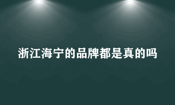 浙江海宁的品牌都是真的吗