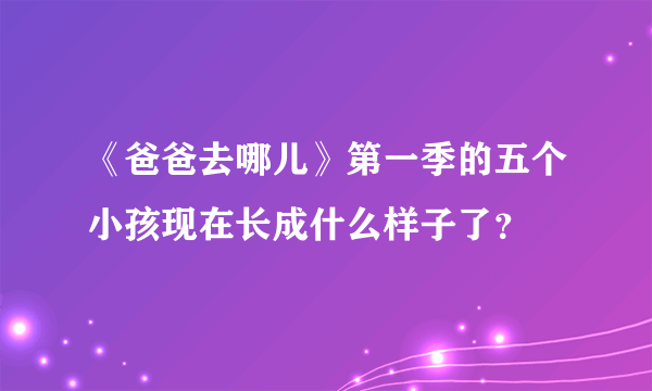 《爸爸去哪儿》第一季的五个小孩现在长成什么样子了？