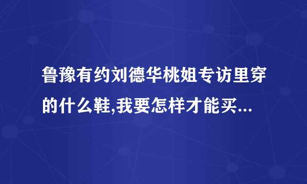 鲁豫有约刘德华桃姐专访里穿的什么鞋,我要怎样才能买到，说清楚些，谢谢？