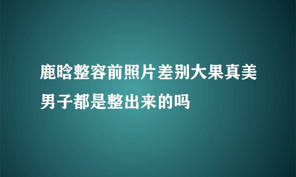 鹿晗整容前照片差别大果真美男子都是整出来的吗