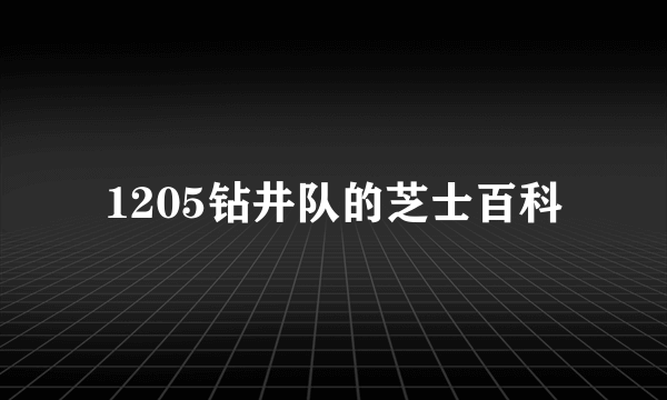 1205钻井队的芝士百科