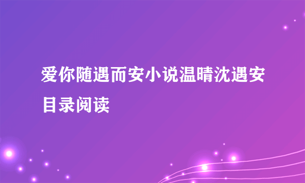 爱你随遇而安小说温晴沈遇安目录阅读