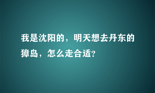 我是沈阳的，明天想去丹东的獐岛，怎么走合适？