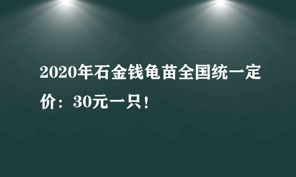 2020年石金钱龟苗全国统一定价：30元一只！